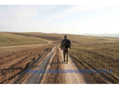 PERCHE’ il “METODO HAMER” NON FUNZIONA.